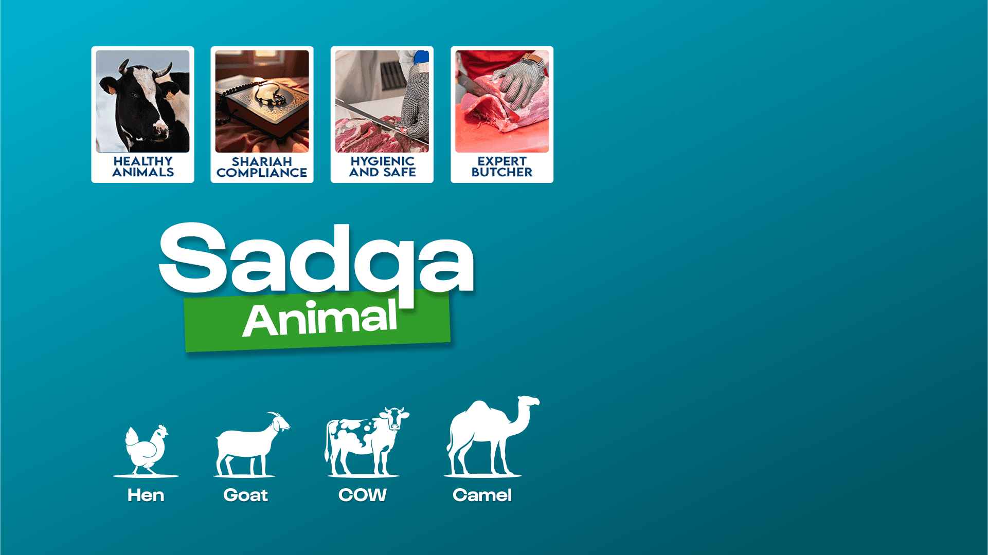 Sadqa Animal Cover