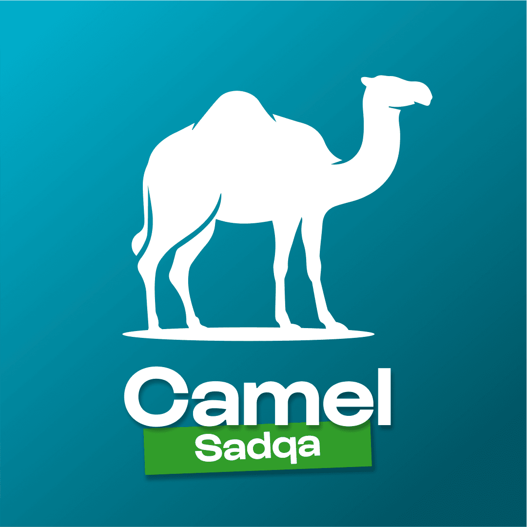 Sadqa Camel