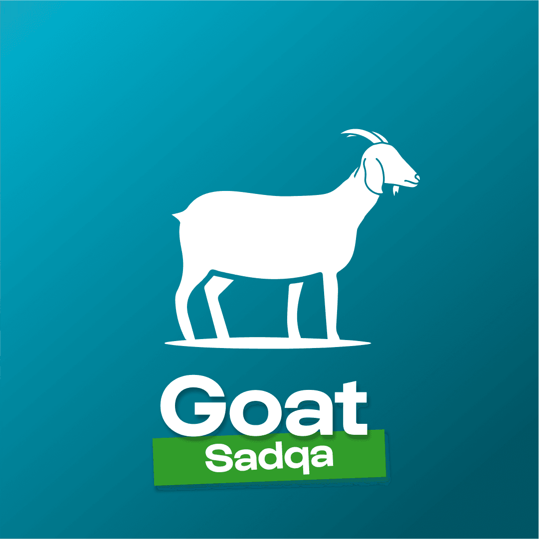Sadqa Goat