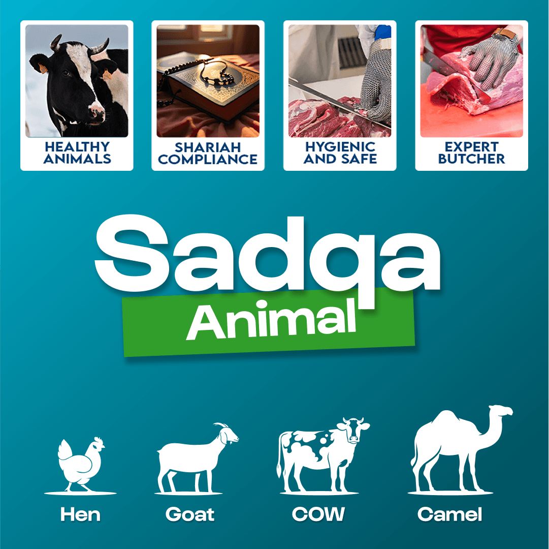Sadqa Animal Thumbnail