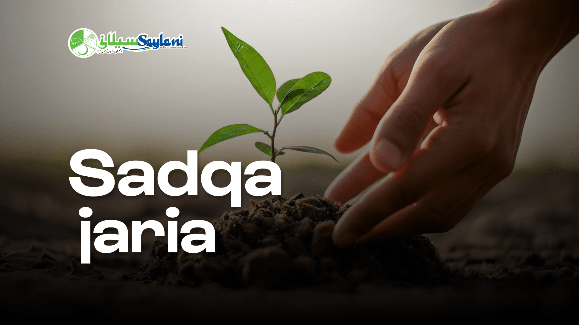 Sadqa Jaria